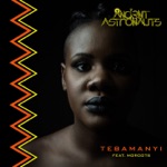 Ancient Astronauts - Tebamanyi (feat. MoRoots)