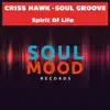 Spirit of Life - Single album lyrics, reviews, download