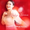 Baby Shima - Mbalik Kucing