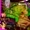 Dj Rickster & Mistah Nicky Nick - 04. Chutney Lover
