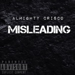 Misleading - Single