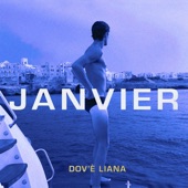 Janvier artwork