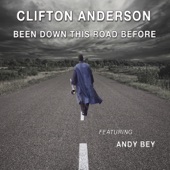 Been Down This Road Before (feat. Andy Bey) artwork