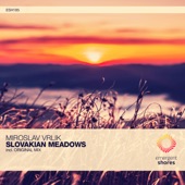 Slovakian Meadows artwork