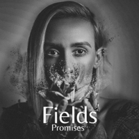 Fields - Promises artwork