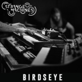 Strange Machines - Birdseye