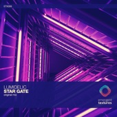 Star Gate artwork