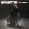 Roommates - Single