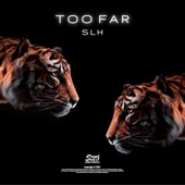 Too Far artwork