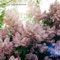 K.Billy - wavvy lyrics