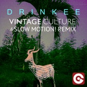 Drinkee (Vintage Culture & Slow Motion! Remix) artwork