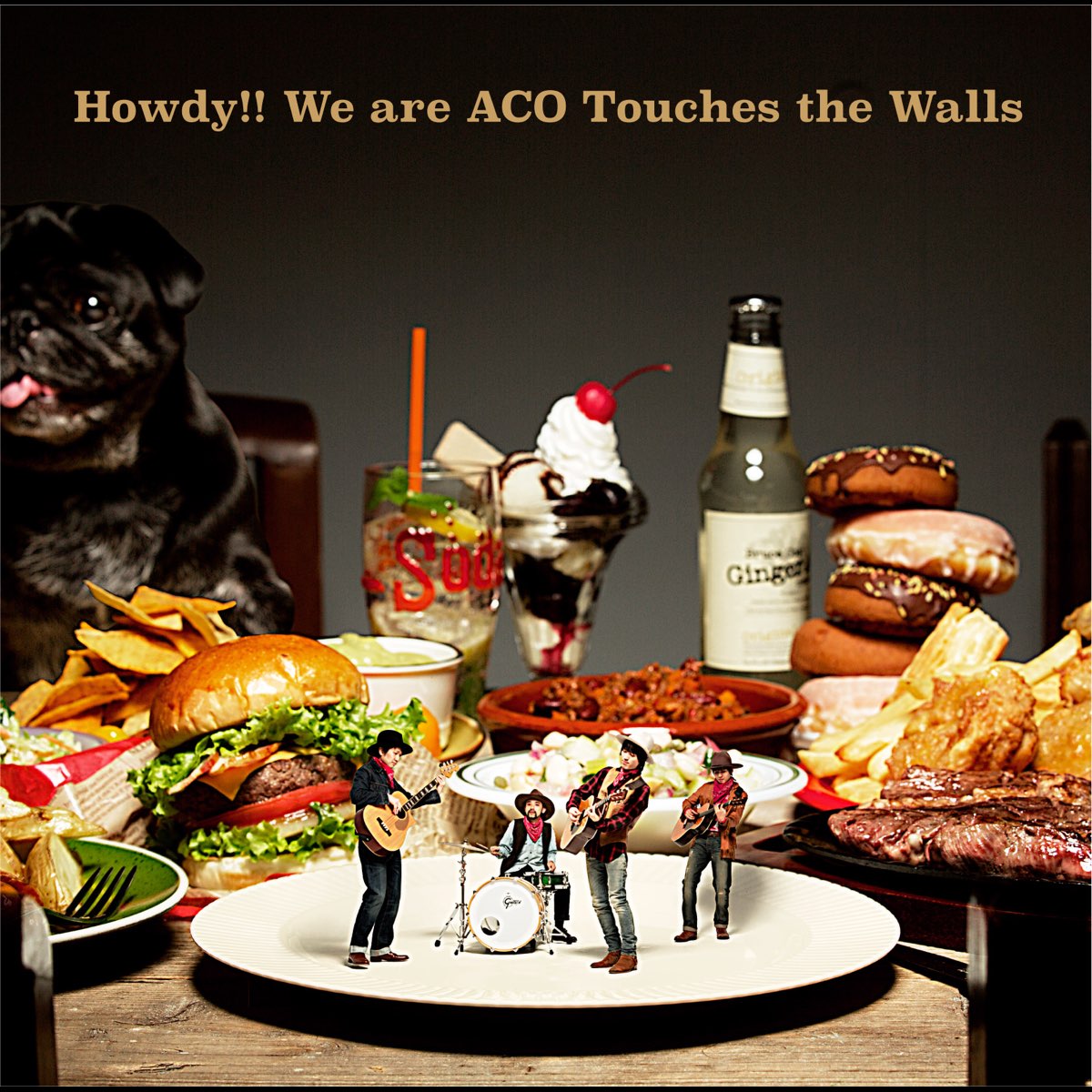 Howdy!! We are ACO Touches the Walls by NICO Touches the Walls on