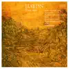 Haydn: Mass In D Minor, "Nelson Mass" album lyrics, reviews, download