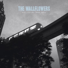 The Wallflowers: Collected 1996-2005
