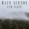 Rain Sounds For Sleep - EP album lyrics, reviews, download