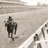 Secretariat Wins Triple Crown 1973 artwork