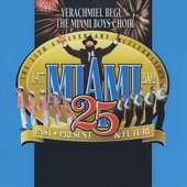 Miami 25 artwork