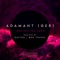 Instinctive Love - Saytek & Adamant lyrics