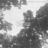 Skylight - Single