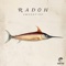 Swordfish - Radon lyrics