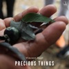 Precious Things - Single