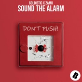Sound the Alarm artwork