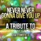 Never Never Gonna Give You Up - Ameritz Top Tributes lyrics