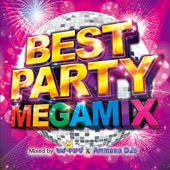 BEST PARTY MEGAMIX Mixed by DJ モナキング & Ammona DJs artwork