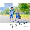 wacci