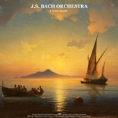 Handel: Messiah: Hallelujah Chorus / Bach: Cantata Jesu, Joy of Man's Desiring BWV 147 / Mozart: Ave Verum Corpus / Walter Rinaldi: String Orchestra Works (Live in Rome) artwork