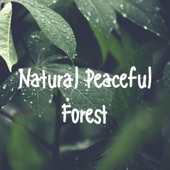 Natural Peaceful Forest artwork