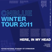 Live-2011 Winter Tour -In My Head- artwork