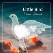 Little Bird - EP artwork