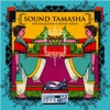 Sound Tamasha - Spectaculicious House Only