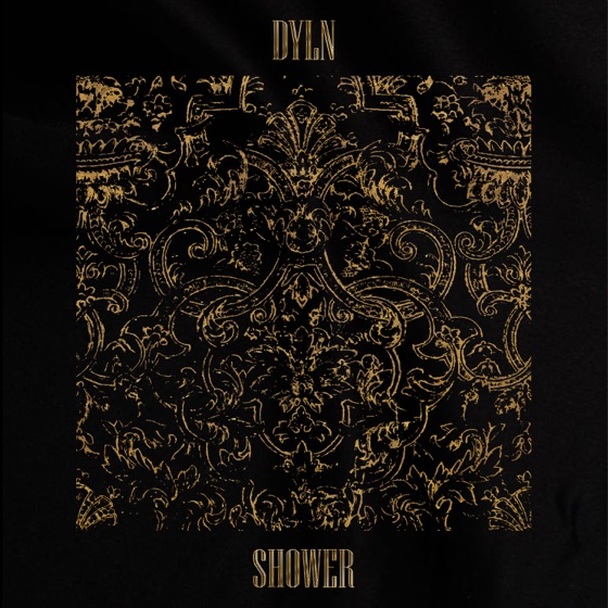 Cover artwork for Shower