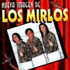 Los Mirlos