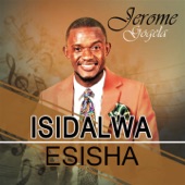 Isidalwa Esisha artwork