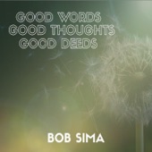Bob Sima - Raise the Vibe