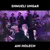 Ani Holech (feat. Freilach Band & the Shira Choir) - Single album lyrics, reviews, download