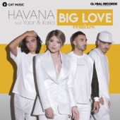 Big Love (feat. Yaar & Kaiia) [Dip Stage Remix] artwork