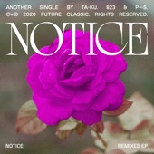 Notice (Moods Remix) artwork