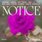 Notice (Moods Remix) artwork