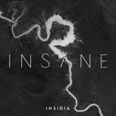 INSIDIA - Insane (Extended Mix) artwork