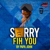 Sorry Fih You artwork