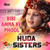 Bibi Amna Ke Phool artwork