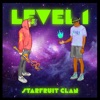 Level 1 artwork