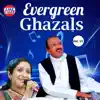 Evergreen Ghazals, Vol. 11 album lyrics, reviews, download