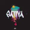 Sativa (feat. DJ Roma Oficial) [Remix] - Single album lyrics, reviews, download