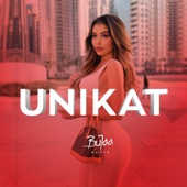 Unikat (Instrumental) artwork