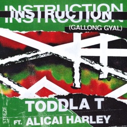 Toddla T - Instruction (Gallong Gyal) [feat. Alicai Harley]